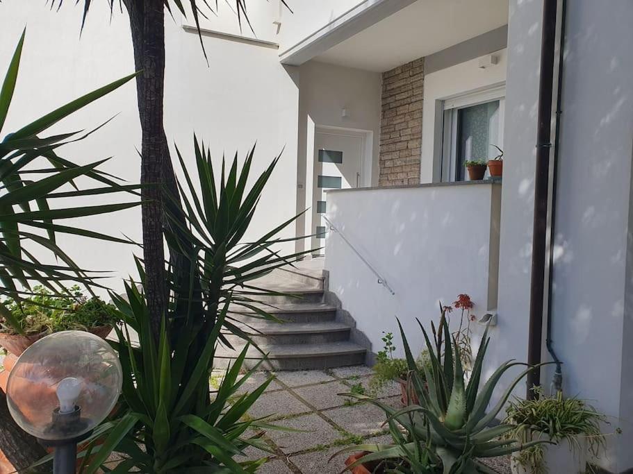 Lecci Al Mare Apartment San Vincenzo Bagian luar foto